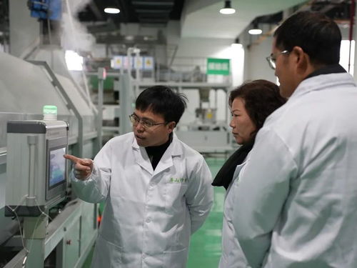 屏山茶葉新技術培訓引領產業升級，信息技術咨詢服務助力提質增效