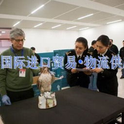 深圳藝術(shù)品進口報關(guān)流程詳解與實務(wù)指南